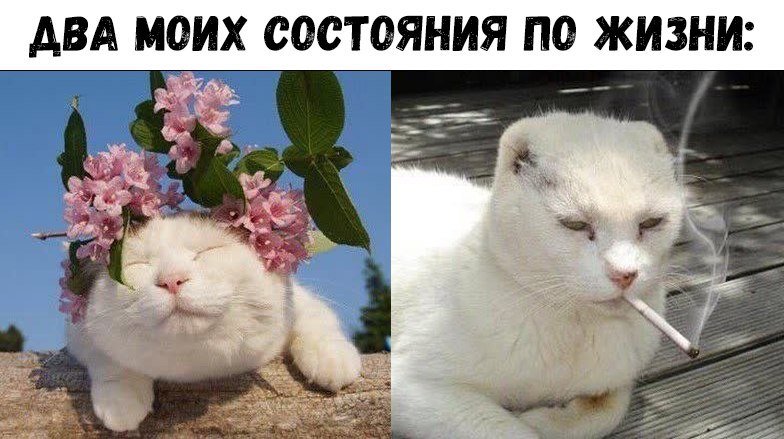 Анекдот про машины