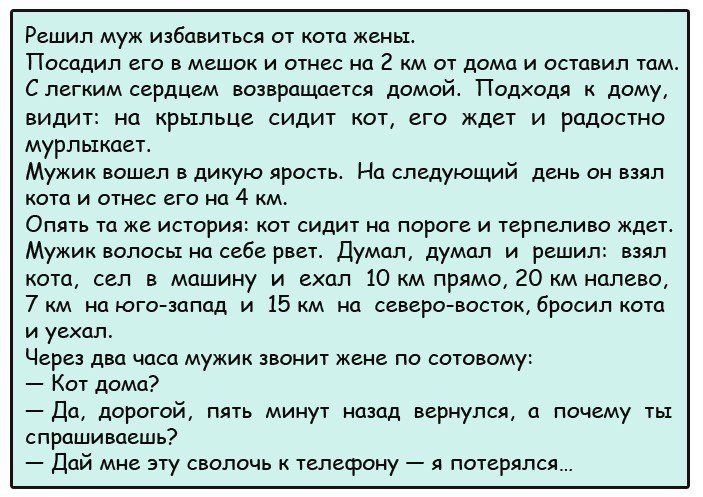 Анекдот про товарища полковника