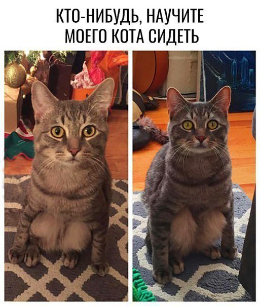 Крутой анекдот про критика