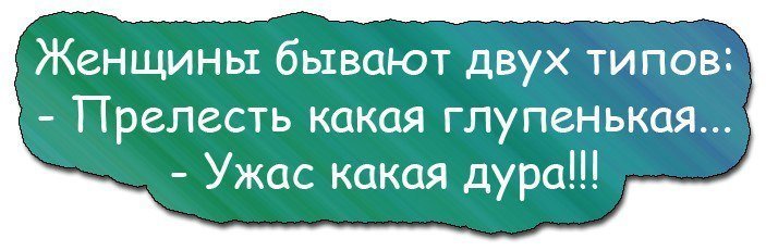 Анекдот про теорию