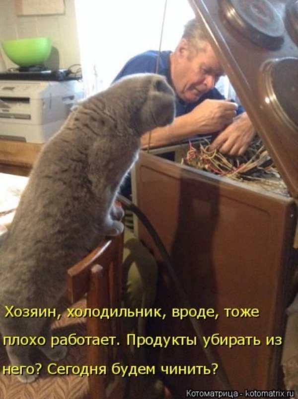 Анекдот про японские автомобили