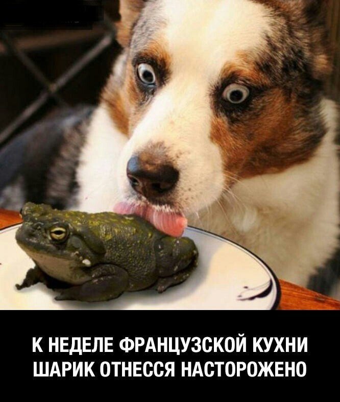 Анекдот про больного мужа