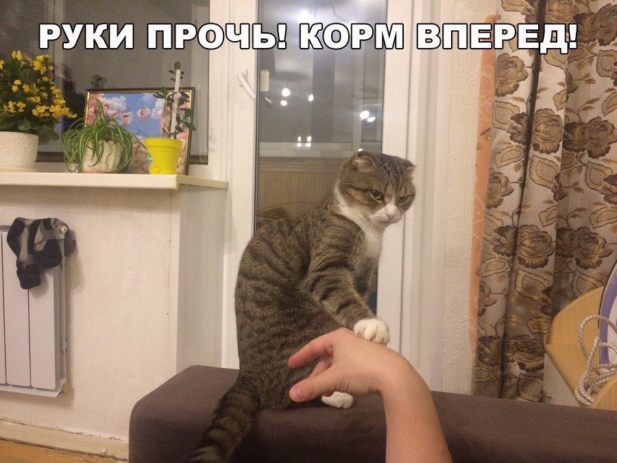 Крутой анекдот про критика