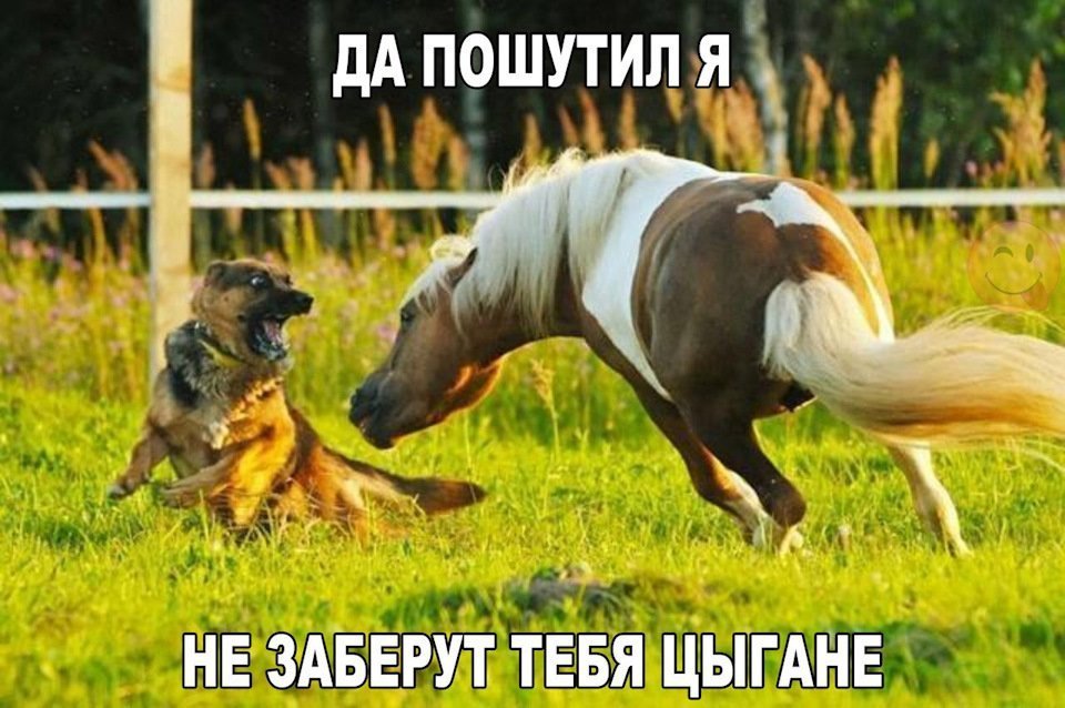 Анекдот про измерения
