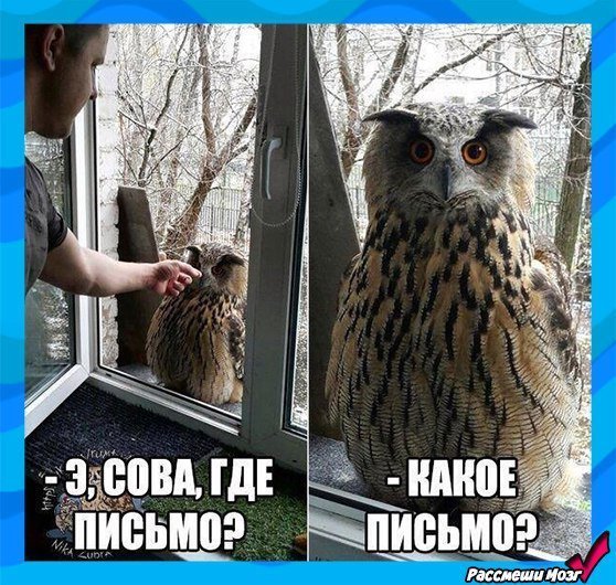 Анекдот про Степана