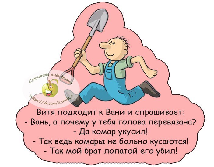 Анекдот про дальний аул
