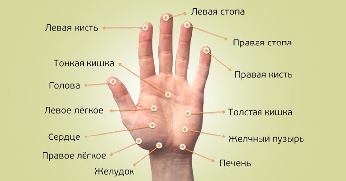 Каждый палец отвечает за 2 органа: эффективный японский метод лечения разных заболеваний
