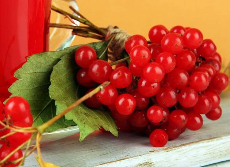 11 ягод и фруктов, которые ученые настоятельно рекомендуют кушать вместе с косточками