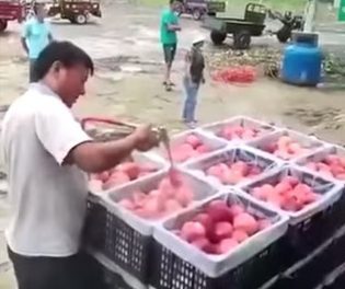 Видео не для слабонервных – как в Китае красят яблоки, клубнику, баклажаны…