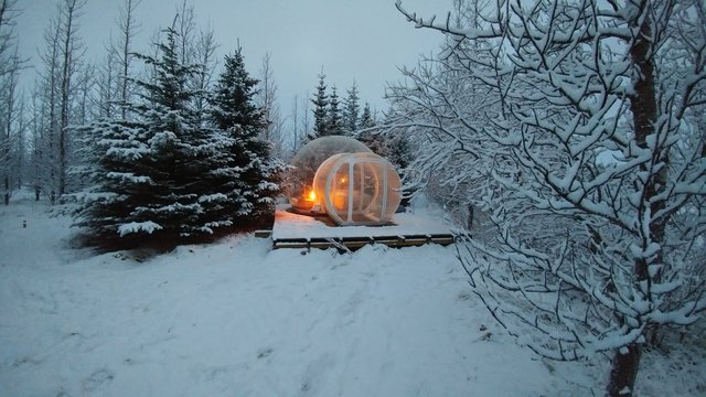 В Исландии у каждого есть возможность провести ночь в таких пузырях – увидеть северное сияние, посмотреть на жизнь леса