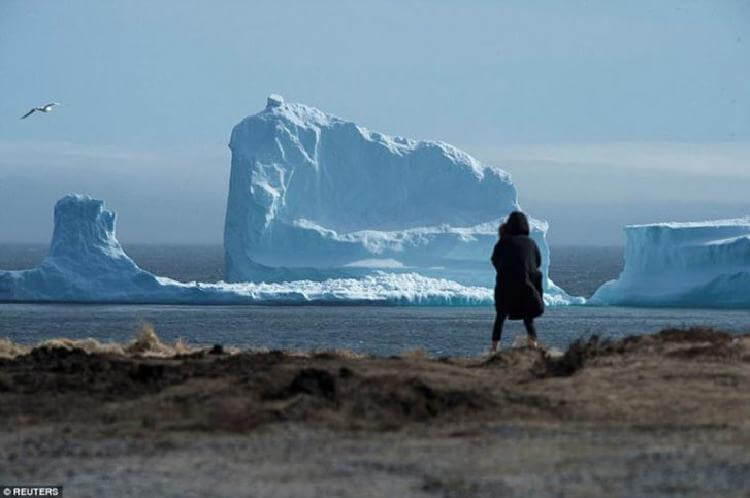 В Канаде небывалый приток туристов: к берегам приплыл огромный айсберг и на это посмотреть хотят все
