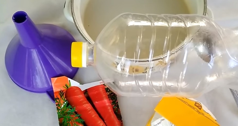 Оригинальный и эффективный метод посадки моркови – обязательно попробуйте сделать именно так