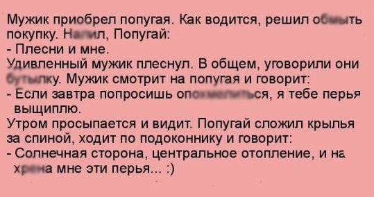Анекдот про очередь