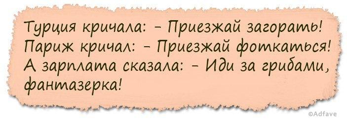 Анекдот про верблюда