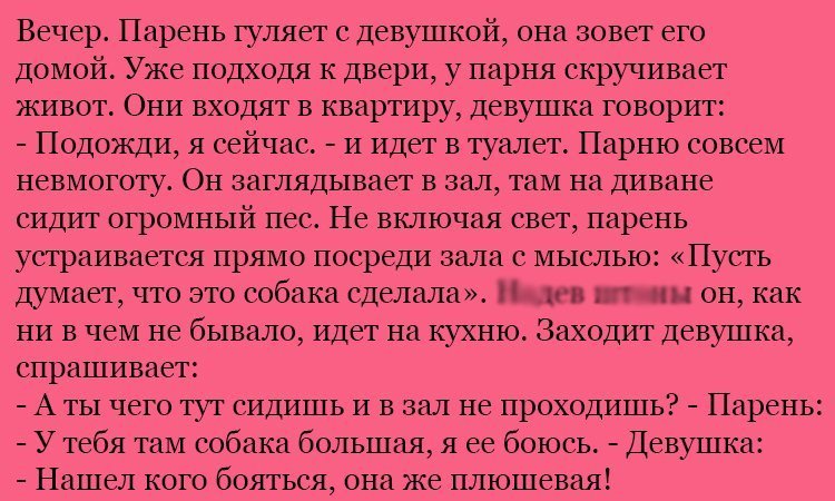 Анекдот про большую собаку