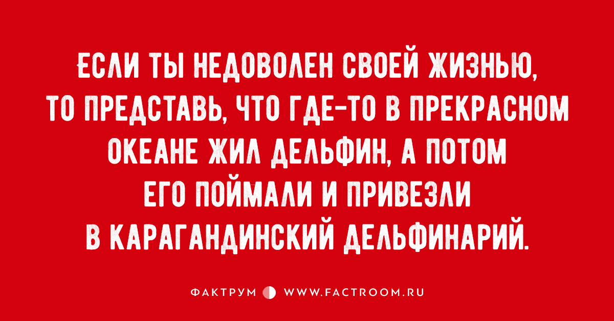 Анекдот про большую собаку
