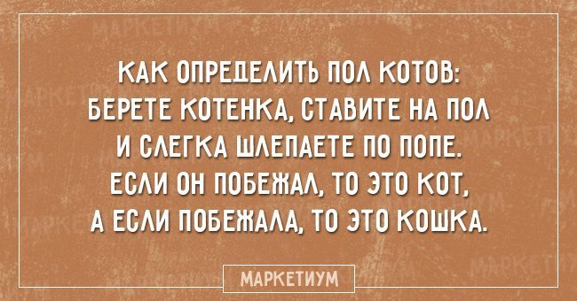 Анекдот про желания