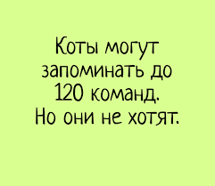 Анекдот про фокус