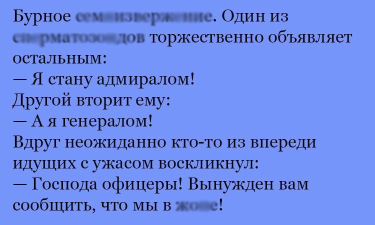 Анекдот про дальновидные планы