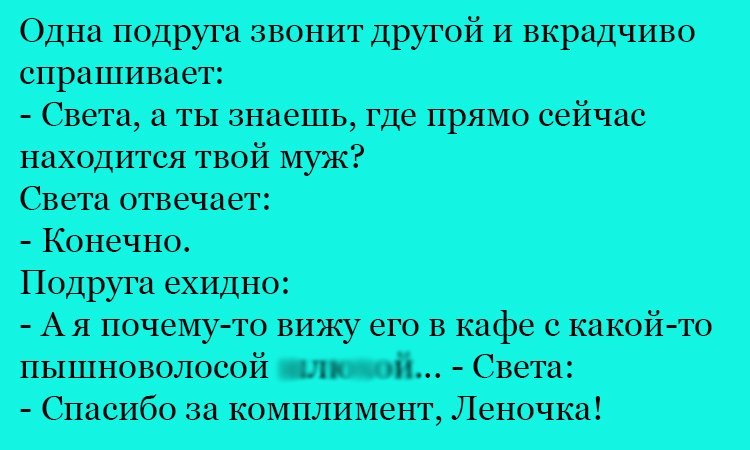 Анекдот про мужа Светы