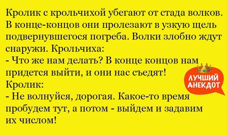 Анекдот про умного кролика