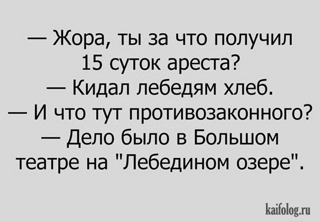 Анекдот про аиста и не только