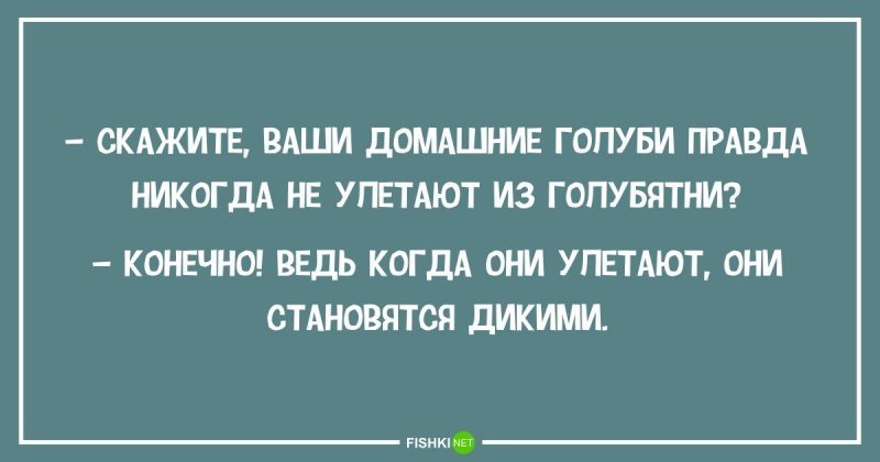 Анекдот про соседа