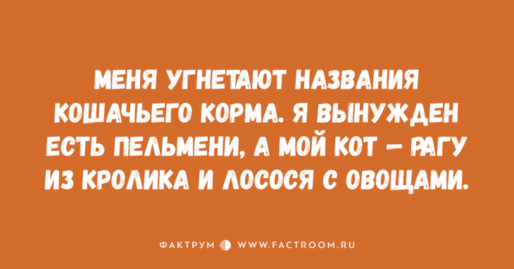 Анекдот про теплую шапочку