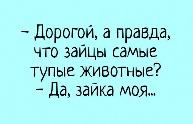 Анекдот про дальновидные планы