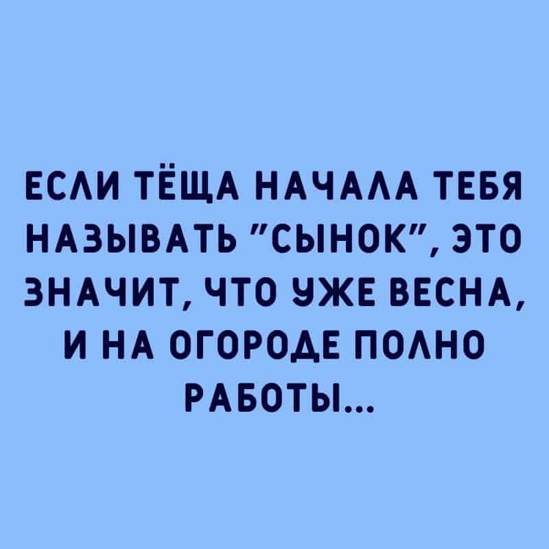 Анекдот про сборы