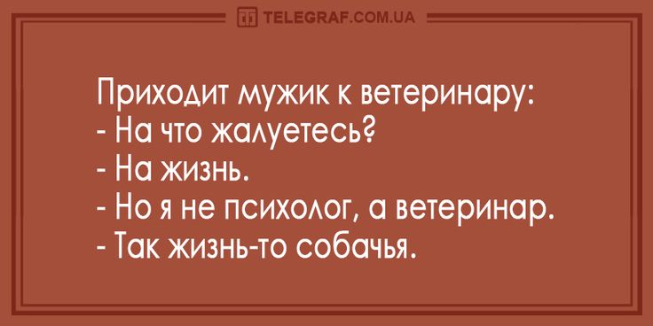 Анекдот про неудавшийся сюрприз