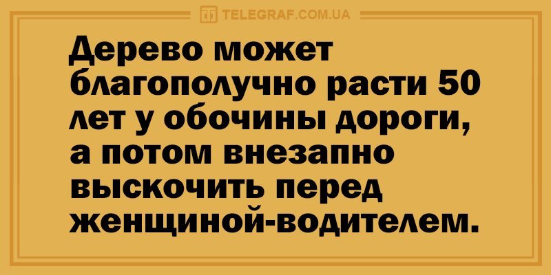 Анекдот про приготовления