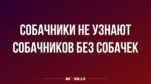 Анекдот про блондинок и их дочерей