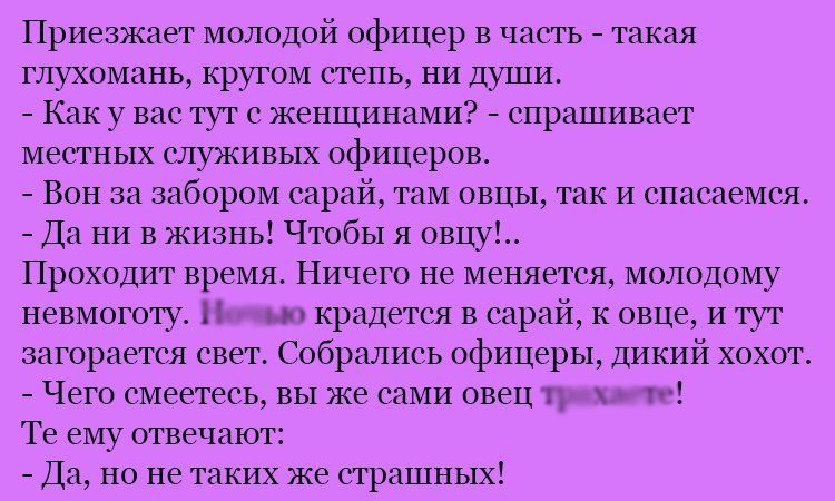 Анекдот про сарай и овец