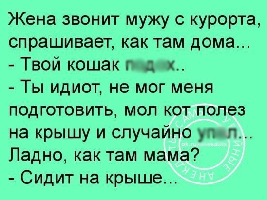 Анекдот про кота и крышу