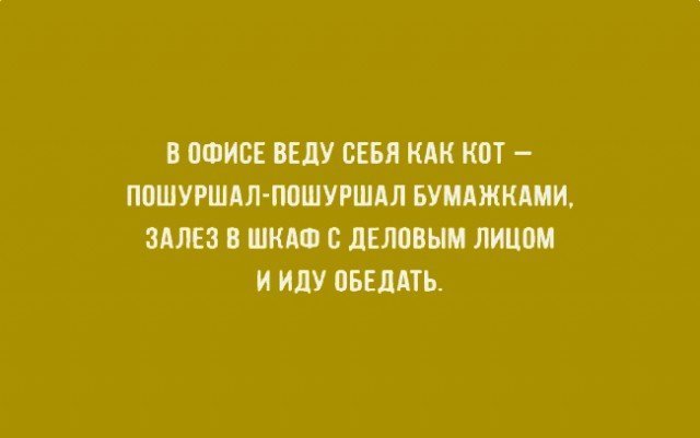 Анекдот про холод и тепло