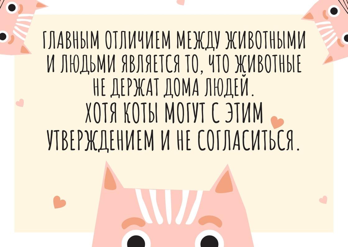 Анекдот про кота и крышу