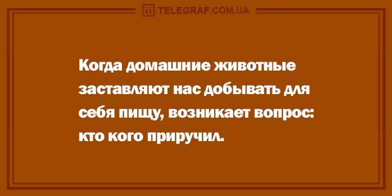 Анекдот про последний вопрос