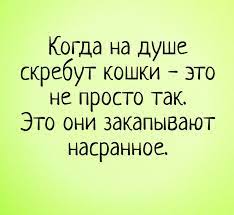 Анекдот про разные суммы