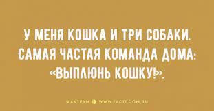 Анекдот про вдруг