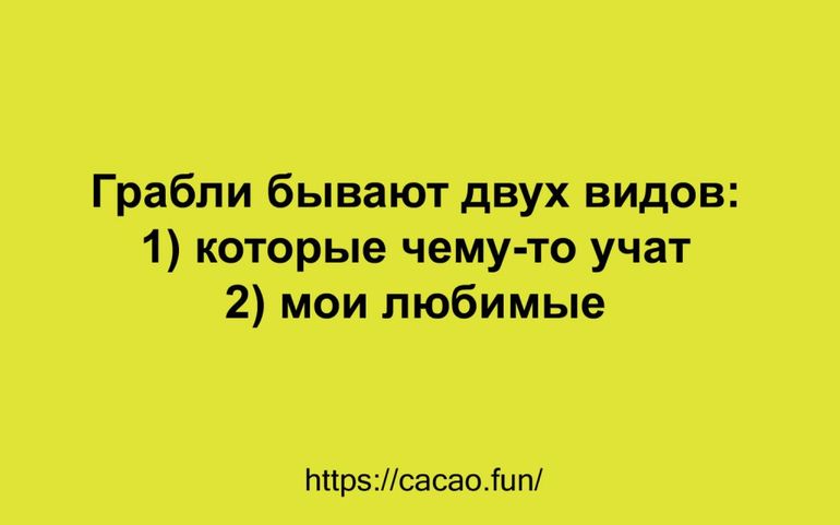 Анекдот про кота и крышу