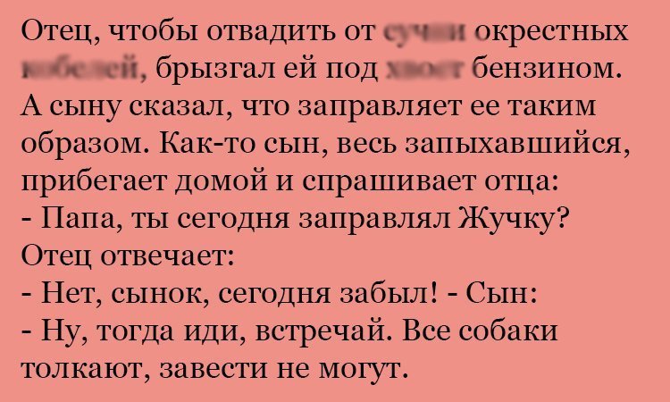 Анекдот про заправку Жучки