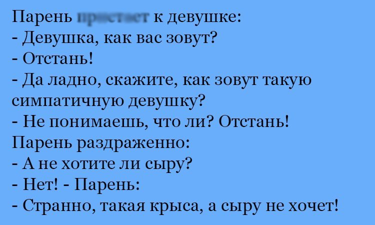 Анекдот про девушку и сыр