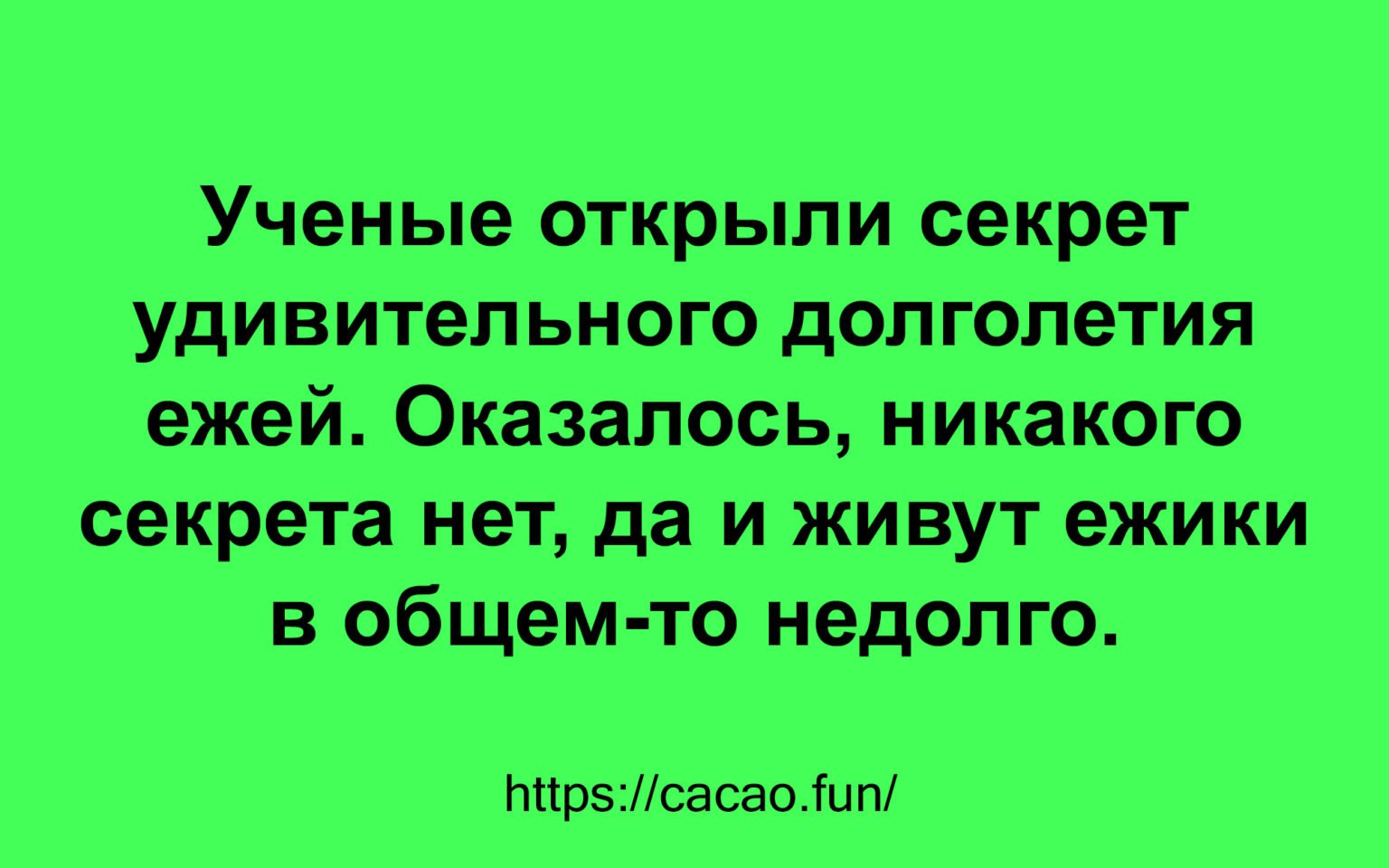 Анекдот про известного портного и мадам