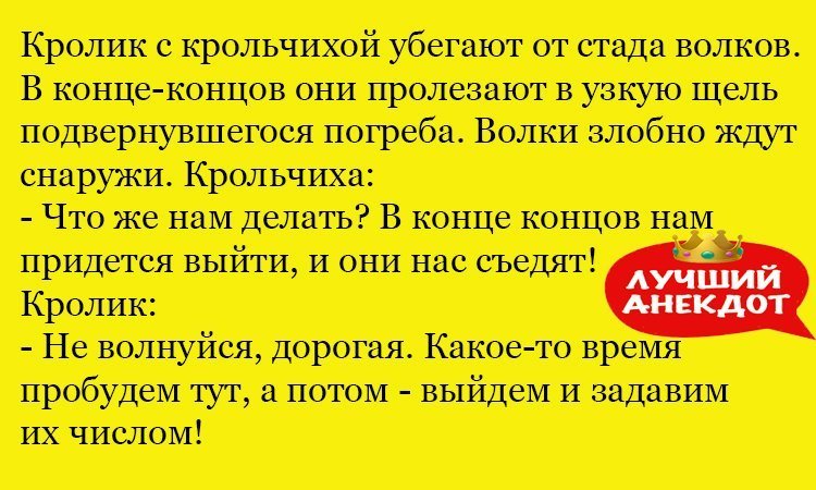 Анекдот про веселых кроликов