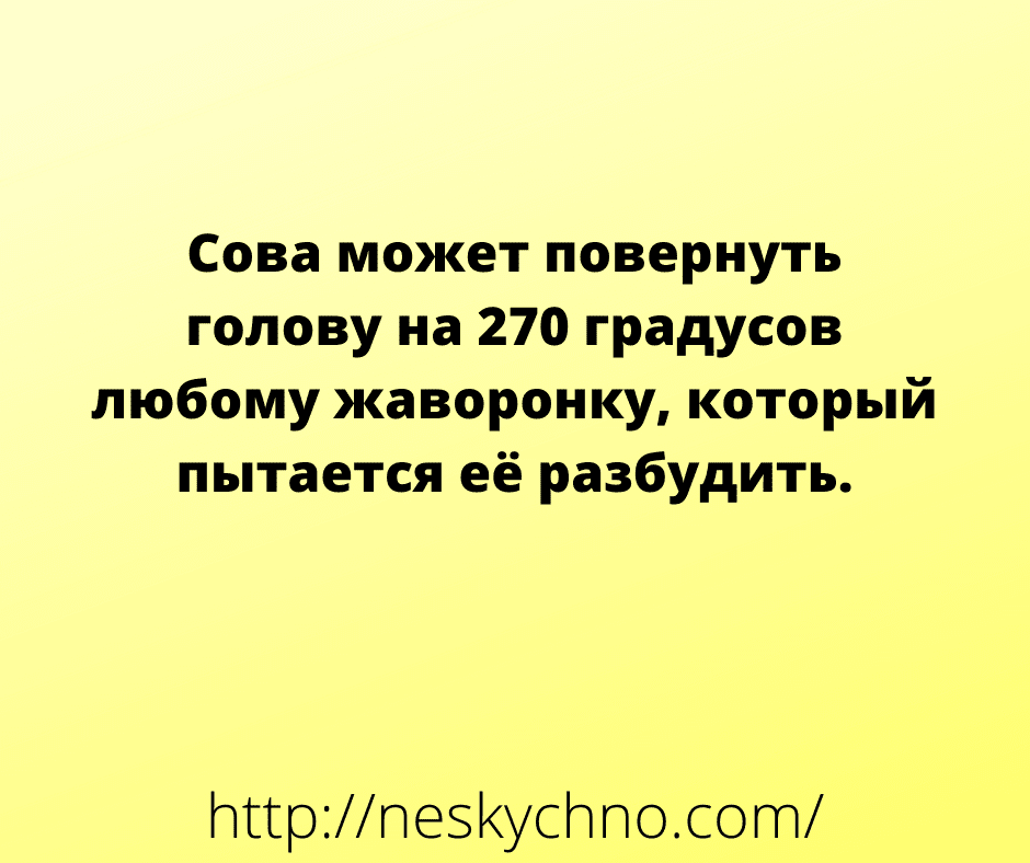 Анекдот про занимательную математику