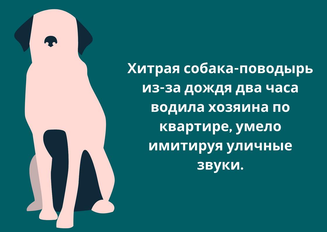 Анекдот про тост
