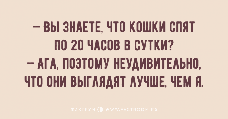 Анекдот про спагетти