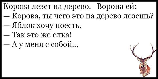 Анекдот про блондинку и седло
