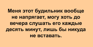 Анекдот про родео